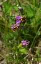 IMGP9726-1024.jpg