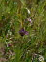 IMGP9736-1024.jpg