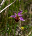 IMGP9744-1024.jpg