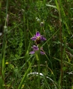 IMGP9765-1024.jpg