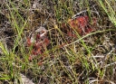 IMGP9798-1024.jpg