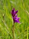 IMGP9912-1024.jpg