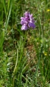 IMGP9914-1024.jpg