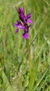 IMGP9919-1024.jpg
