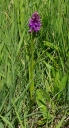 IMGP9944-1024.jpg