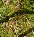 IMGP9995-1024.jpg