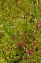 kMGP0002-1024.jpg