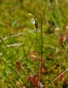 kMGP0003-1024.jpg