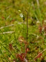 kMGP0005-1024.jpg
