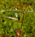 kMGP0007-1024.jpg