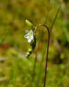 kMGP0012-1024.jpg