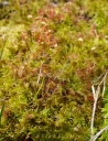 kMGP0014-1024.jpg