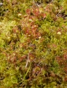 kMGP0015-1024.jpg