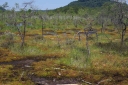 kMGP0020-1024.jpg
