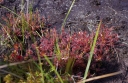 kMGP0042-1024.jpg