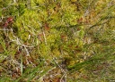 kMGP0060-1024.jpg