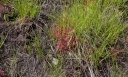 kMGP0071-1024.jpg