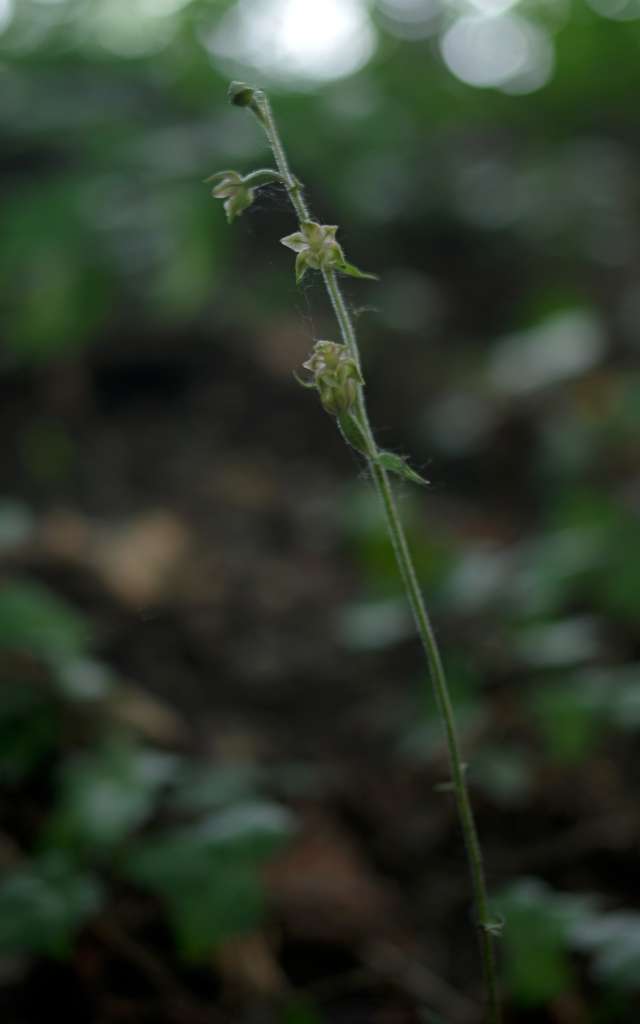 IMGP0123-1024.jpg