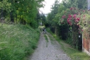 IMGP0085-1024.jpg