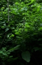 IMGP0132-1024.jpg