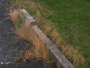 IMGP0136-1024.jpg