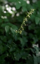 IMGP0225-1024.jpg