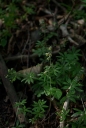 IMGP0280-1024.jpg