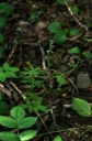 IMGP0292-1024.jpg