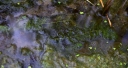 IMGP0313-1024.jpg