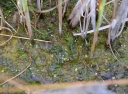 IMGP0327-1024.jpg