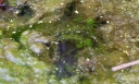 IMGP0328-1024.jpg