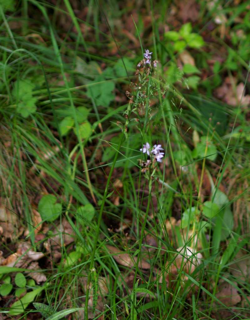 IMGP0476-1024.jpg