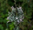 IMGP0407-1024.jpg