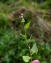 IMGP0412-1024.jpg