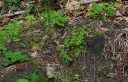 IMGP0429-1024.jpg