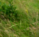 IMGP0435-1024.jpg