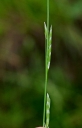 IMGP0443-1024.jpg
