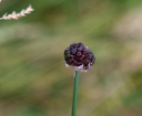 IMGP0448-1024.jpg