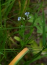 IMGP0455-1024.jpg