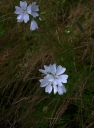 IMGP0456-1024.jpg