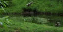 IMGP0492-1024.jpg