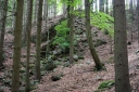 IMGP0530-1024.jpg