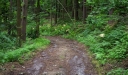 IMGP0543-1024.jpg