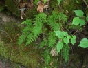 IMGP0557-1024.jpg
