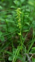 IMGP0598-1024.jpg