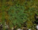 IMGP0613-1024.jpg