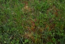 IMGP0627-1024.jpg
