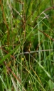 IMGP0635-1024.jpg