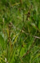 IMGP0639-1024.jpg