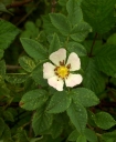 IMGP8774-1024.jpg